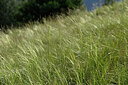 BUITEN BEELD Foto: 447826