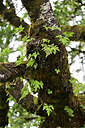 BUITEN BEELD Foto: 447829