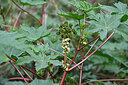 BUITEN BEELD Foto: 447835