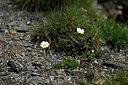 BUITEN BEELD Foto: 447836