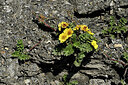 BUITEN BEELD Foto: 447837
