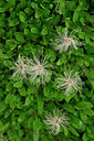 BUITEN BEELD Foto: 447838