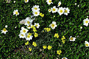 BUITEN BEELD Foto: 447846