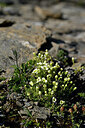BUITEN BEELD Foto: 447849