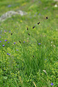 BUITEN BEELD Foto: 447854