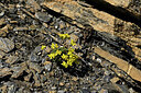 BUITEN BEELD Foto: 447858