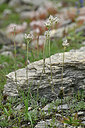BUITEN BEELD Foto: 447861