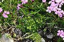 BUITEN BEELD Foto: 447864