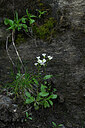 BUITEN BEELD Foto: 447866