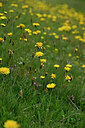 BUITEN BEELD Foto: 447879