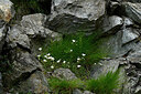 BUITEN BEELD Foto: 447887