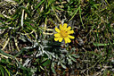 BUITEN BEELD Foto: 447888
