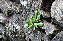 BUITEN BEELD Foto: 447889