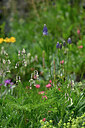 BUITEN BEELD Foto: 447898
