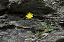 BUITEN BEELD Foto: 447899