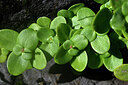 BUITEN BEELD Foto: 447901