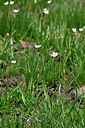 BUITEN BEELD Foto: 447902