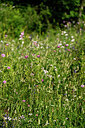 BUITEN BEELD Foto: 447903