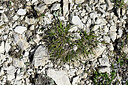 BUITEN BEELD Foto: 447905