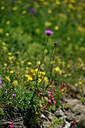 BUITEN BEELD Foto: 447910