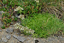 BUITEN BEELD Foto: 447913