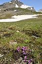 BUITEN BEELD Foto: 447915