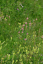 BUITEN BEELD Foto: 447919