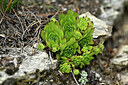 BUITEN BEELD Foto: 447922