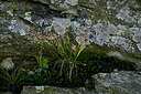 BUITEN BEELD Foto: 447928