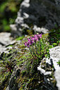 BUITEN BEELD Foto: 447932