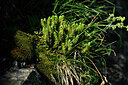 BUITEN BEELD Foto: 447933