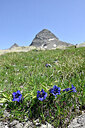 BUITEN BEELD Foto: 447936