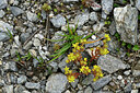 BUITEN BEELD Foto: 447937
