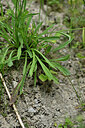 BUITEN BEELD Foto: 447939
