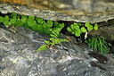 BUITEN BEELD Foto: 447941