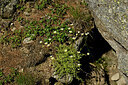 BUITEN BEELD Foto: 447942