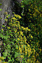 BUITEN BEELD Foto: 447943