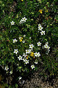 BUITEN BEELD Foto: 447944
