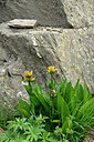 BUITEN BEELD Foto: 447948