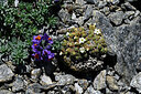 BUITEN BEELD Foto: 447950
