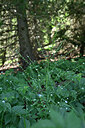 BUITEN BEELD Foto: 447954