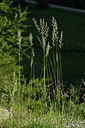 BUITEN BEELD Foto: 447955