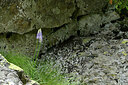 BUITEN BEELD Foto: 447959