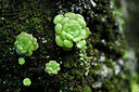 BUITEN BEELD Foto: 447960