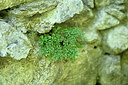 BUITEN BEELD Foto: 447963