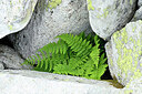 BUITEN BEELD Foto: 447965