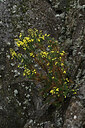 BUITEN BEELD Foto: 447970