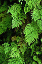 BUITEN BEELD Foto: 447972