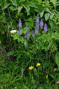 BUITEN BEELD Foto: 447974
