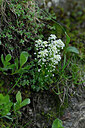 BUITEN BEELD Foto: 447975